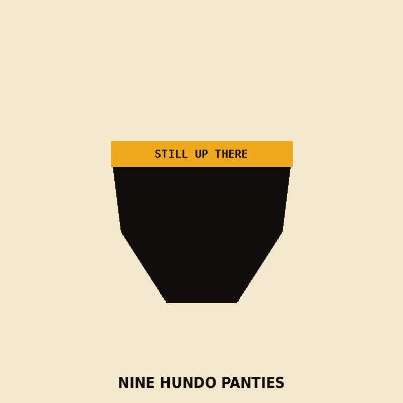 Nine Hundo Panties mockup